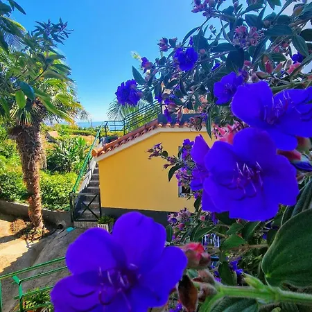 Alta Vista Kır Evi *