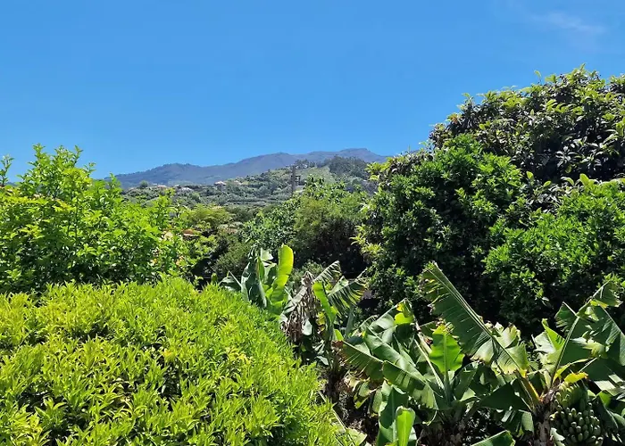 Εξοχικό σπίτι Alta Vista *