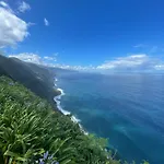 Alta Vista