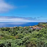 Alta Vista