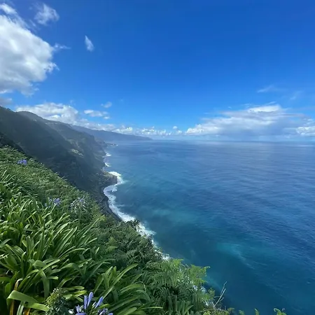 Alta Vista