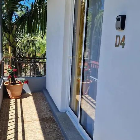 Alta Vista