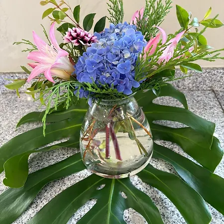 Casa rural Alta Vista *