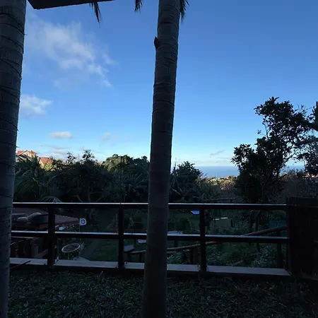 Alta Vista *