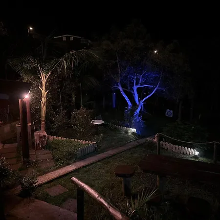 Alta Vista