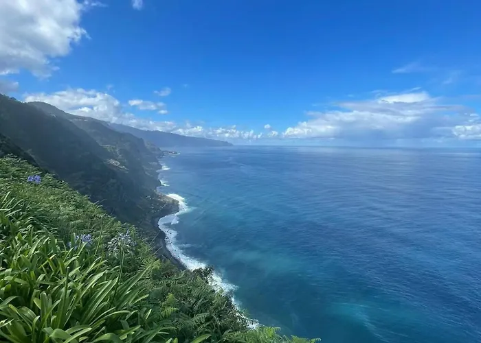 Alta Vista