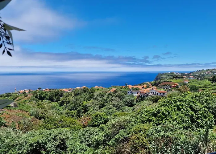 Alta Vista