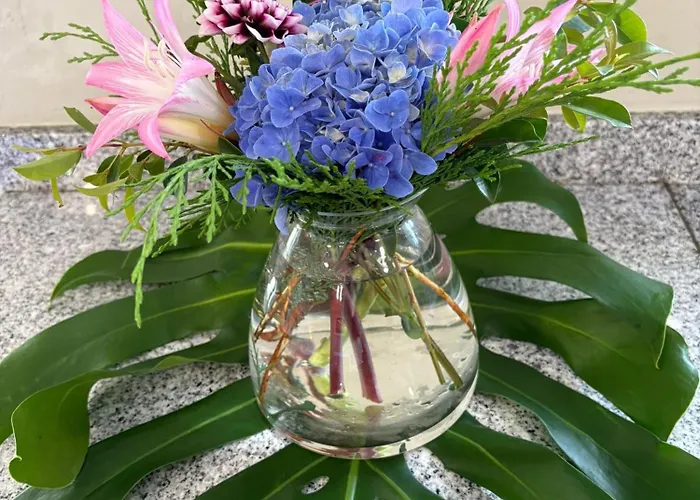 Venkovský dům Alta Vista *