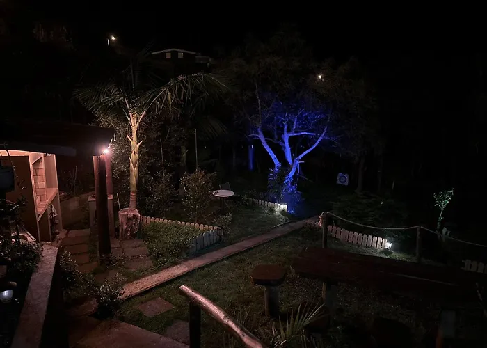 Alta Vista